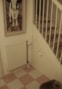 DSC01145